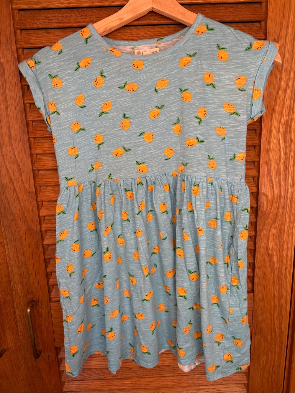Tucker + Tate Light Blue Dress with Orange Fruit Print